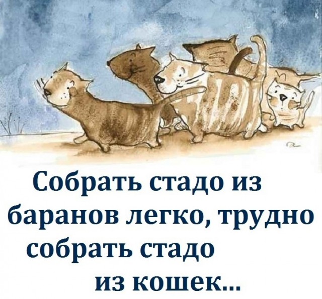 Так себе картинки 13.07.23