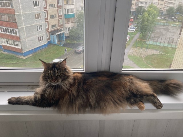 Нууу красивый
