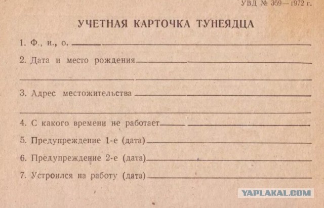 "Ты узнаешь ее из тысячи" Как распознать лесбиянку