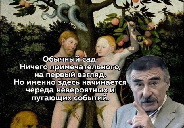 Так себе картинки 15.12.23