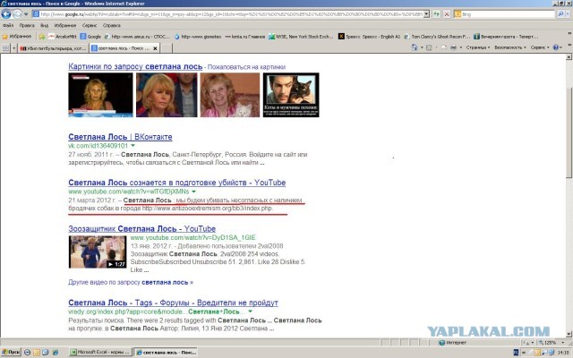 Убил питбультерьера, которого натравил хозяин