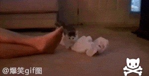 Ноги нужно мыть