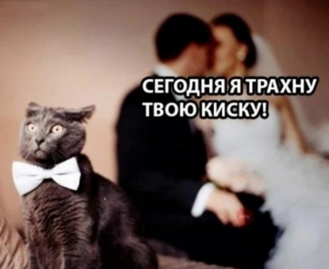 Тлидцать тли от 13 маЛта