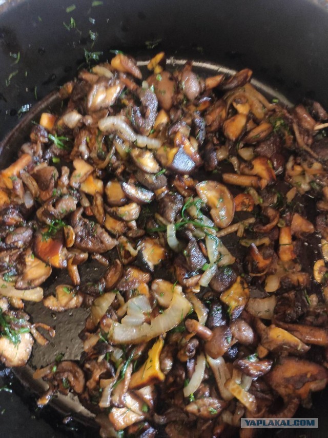 Грибоскресенье