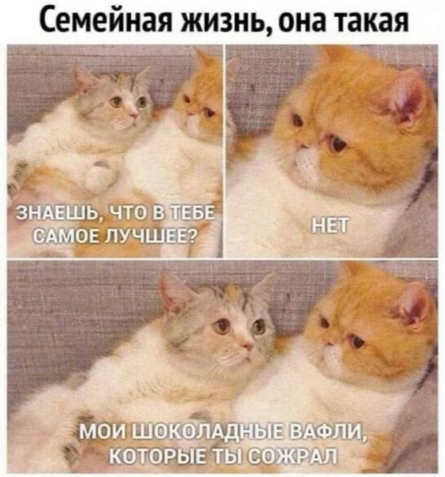 Завалялось тут случайно немного забавных картинок