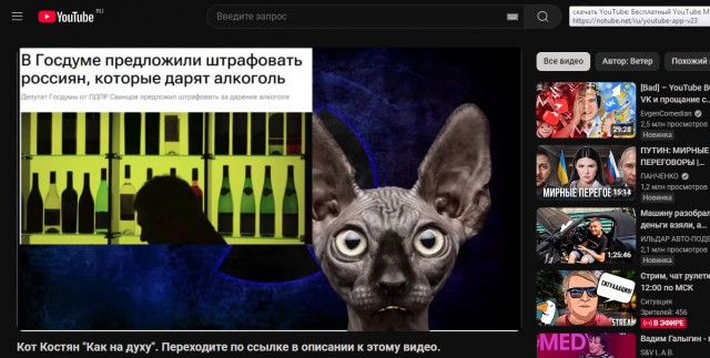 YouTube почти окончательно заблокирован в России, считают эксперты