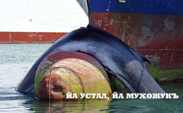 Что у них в голове!