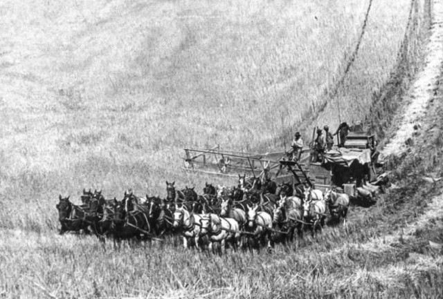 Как наш мир выглядел раньше: интересная подборка исторических фотографий
