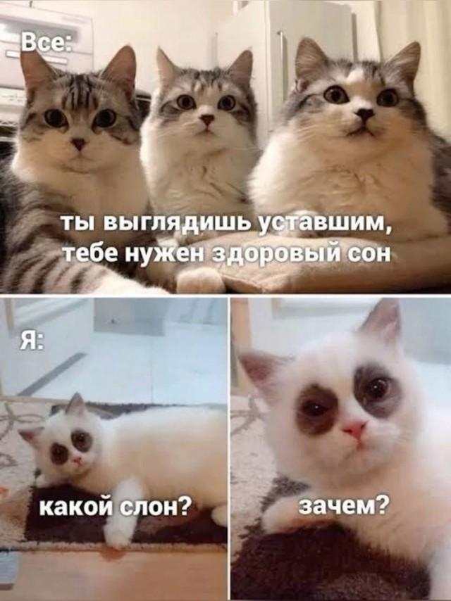 Завалялось тут случайно немного забавных картинок