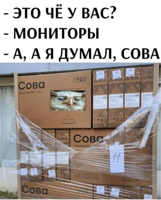 Своеобразный юмор картинок