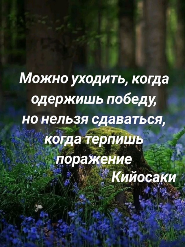 Прикольные и просто красивые картинки 08.05.2025