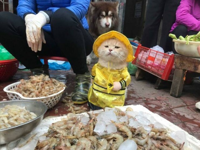 Прикольные и просто красивые картинки 23.05.2025
