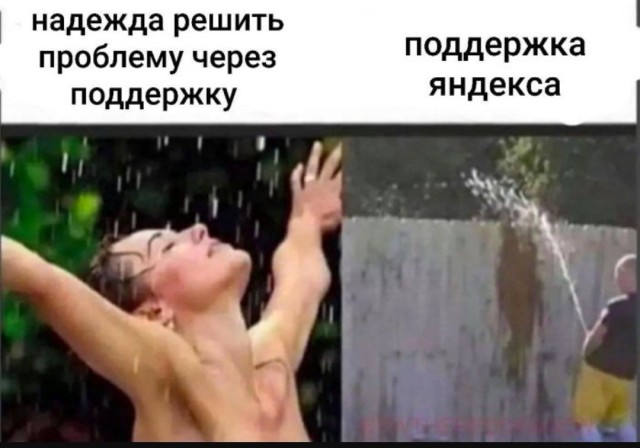 Веселые картинки в пятницу (30.05)