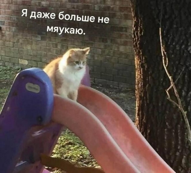 Ещё одна рабочая неделя прошла
