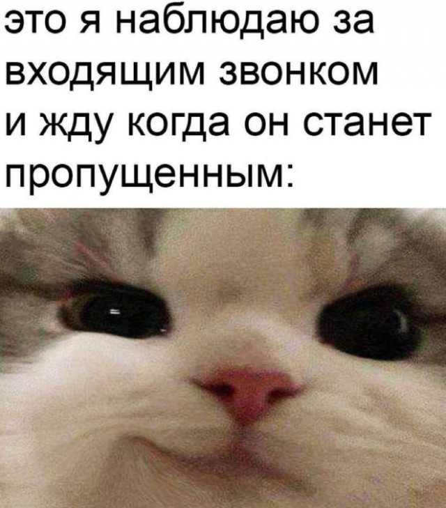 Веселые картинки в пятницу (25.07)