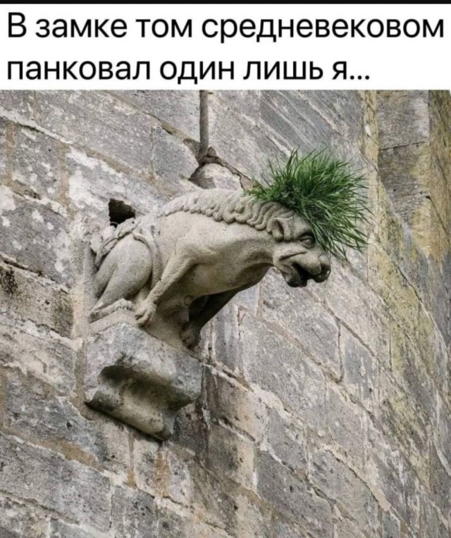 Так себе картинки 19.08.25