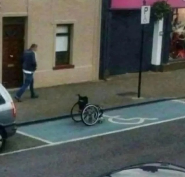Ебейшей ебанины псто