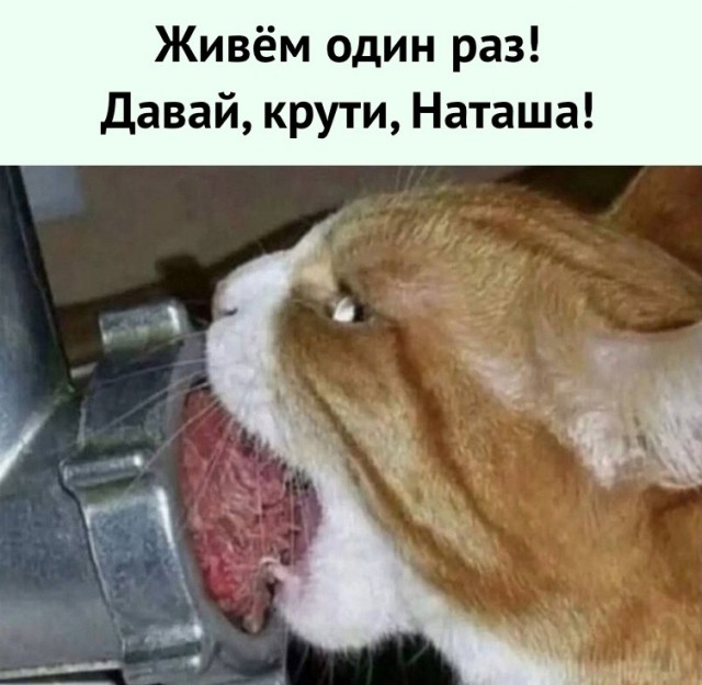 Веселое настроение в картинках (28.09.2025)