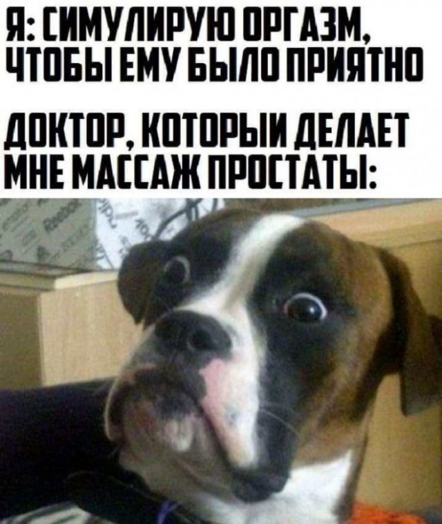 Веселые картинки в понедельник (29.09)