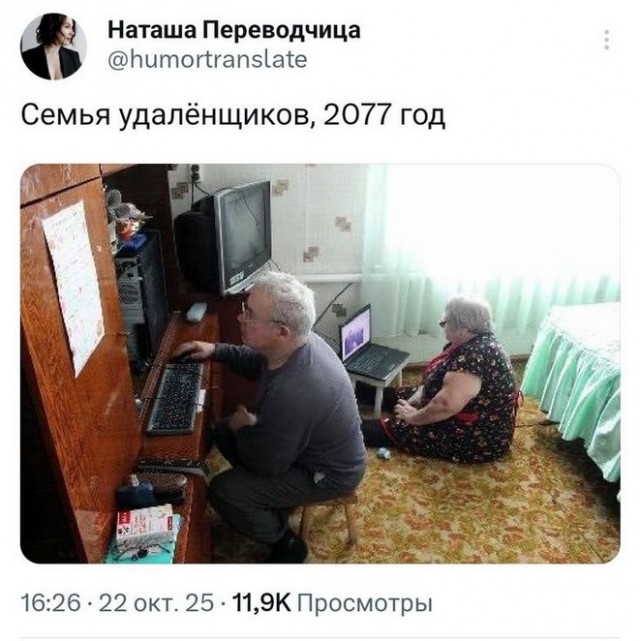 Так себе картинки 14.11.25