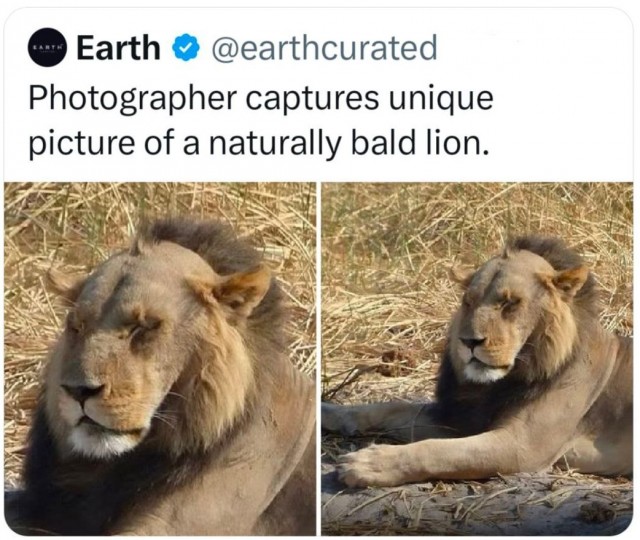 Пятничные бояны