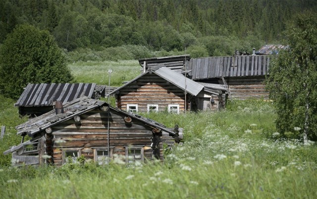 Таежная история