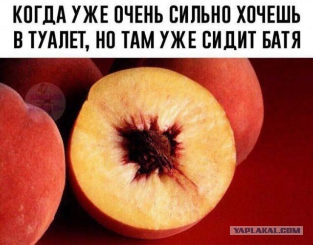 Все презентации