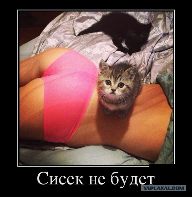 Пятничные кубики (18+)