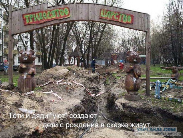 Маразмы года 2013