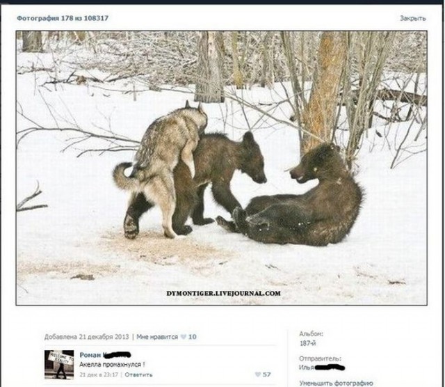 Смешные комментарии из социальных сетей