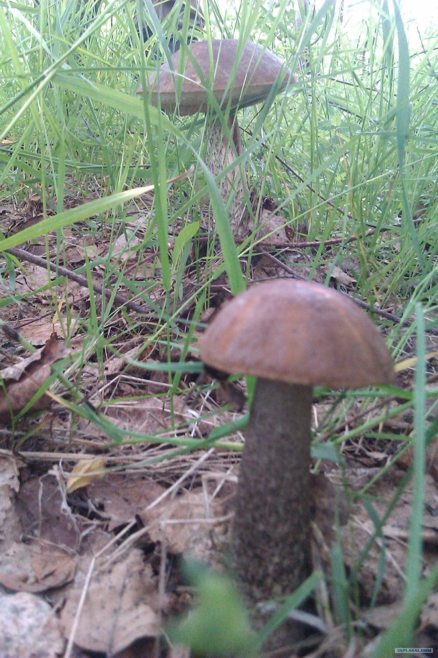 Просто выходные...