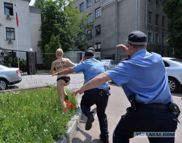 Веселые картинки
