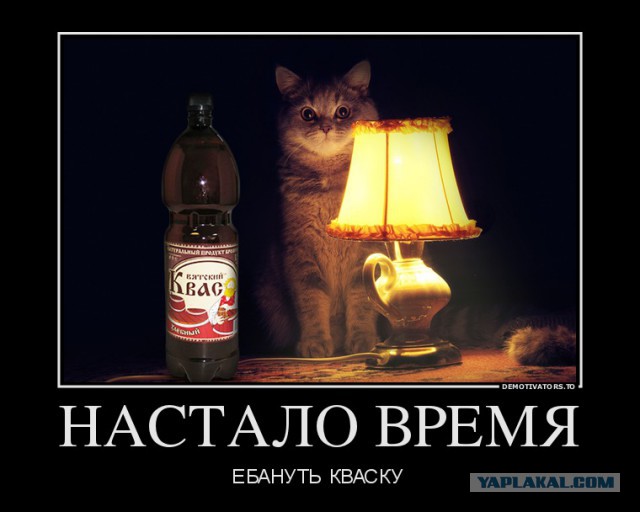 Вятский квас и вопрос Путину