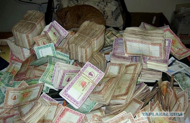 Вот так выглядят 2$