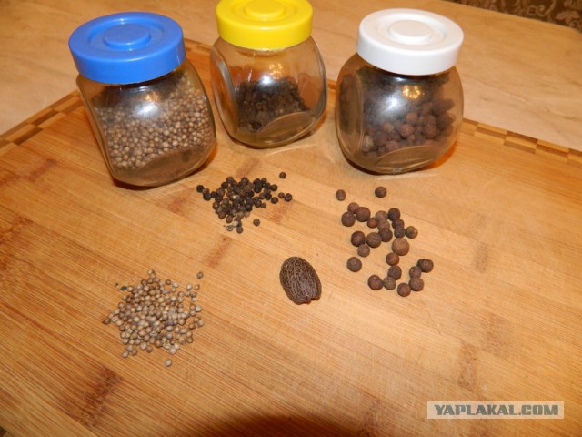 Домашний сацебели