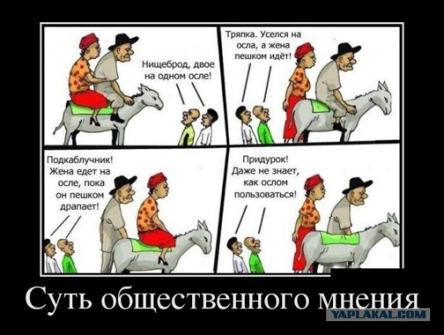Умница, тварь и добрая давалка...