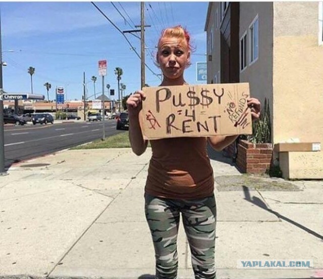 Подборка смешных, не очень и просто красивых фотографий