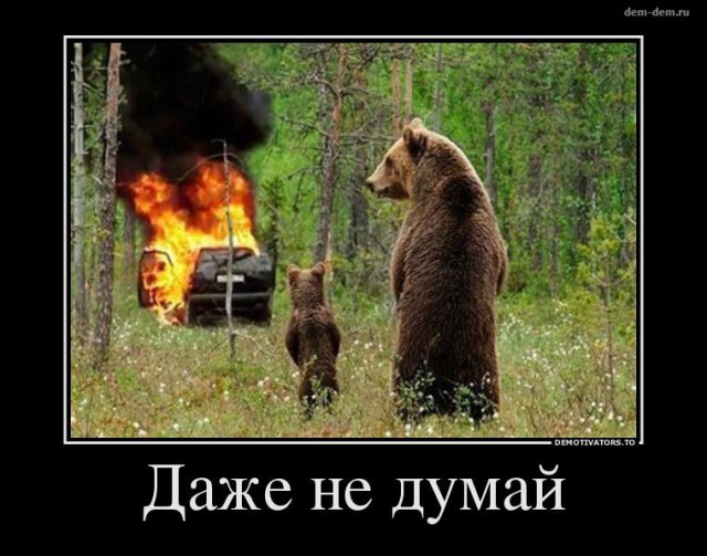 Порция абсурдного юмора на следующую неделю
