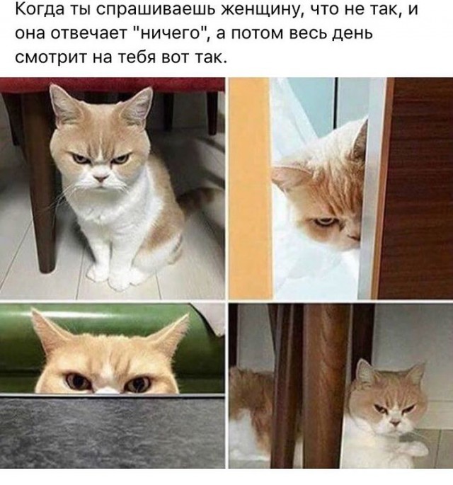 Картинки всяко-разные