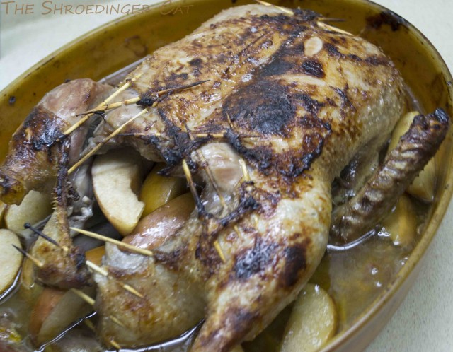 International одной книги., В память о Дженибеке.