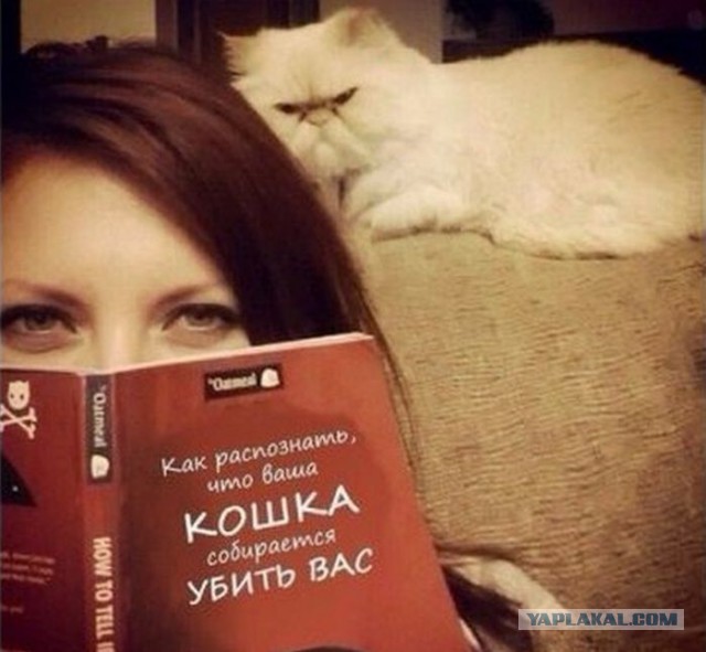 20 злобных животных, которым лучше не переходить дорогу