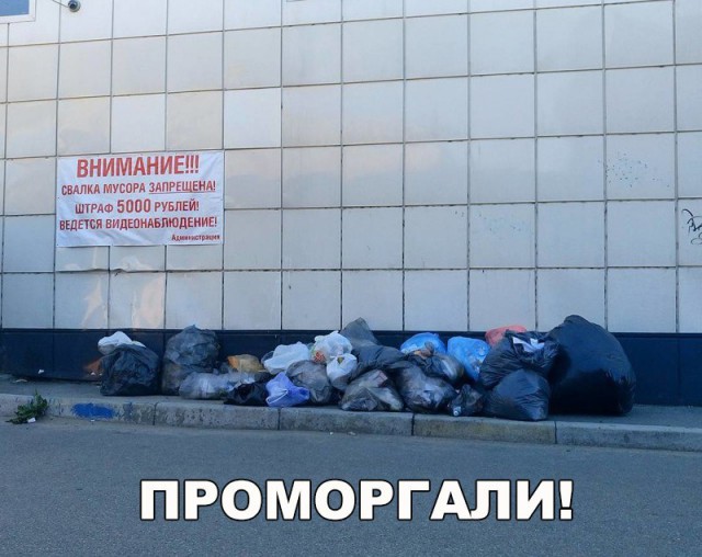 Подборка безудержного веселья