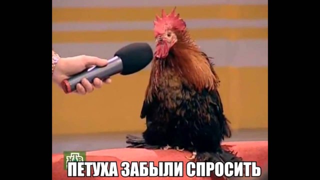 Мнение эксперта по ситуации вокруг КНДР