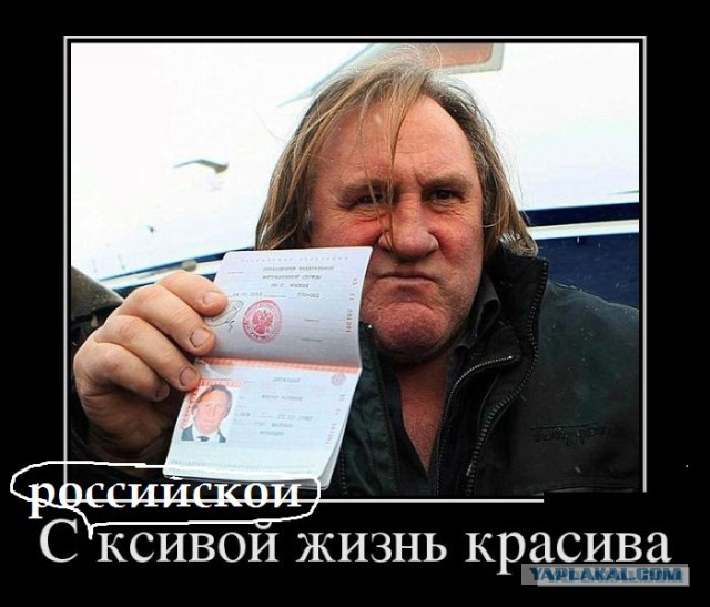 Баяны в чёрных рамках