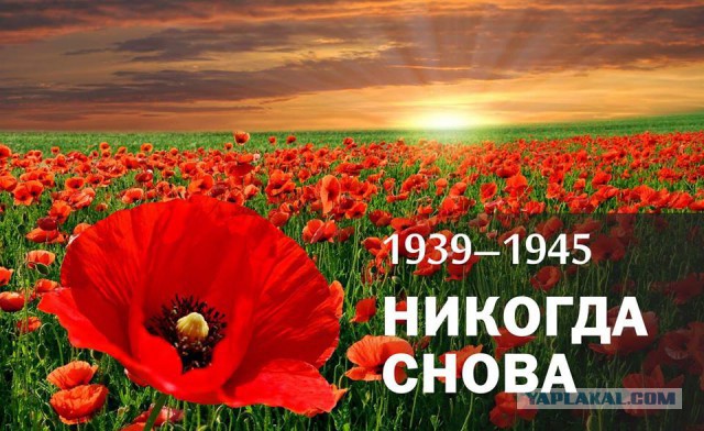 В Одессе моряки необычно поздравили ветерана