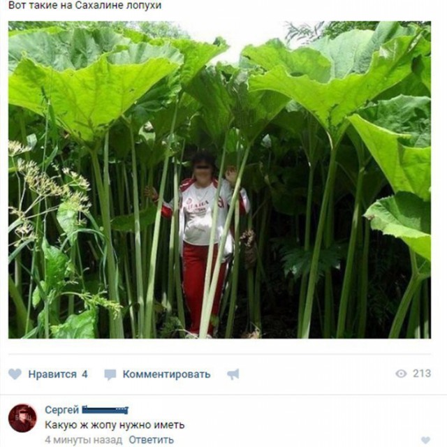 Подборка разного из сети