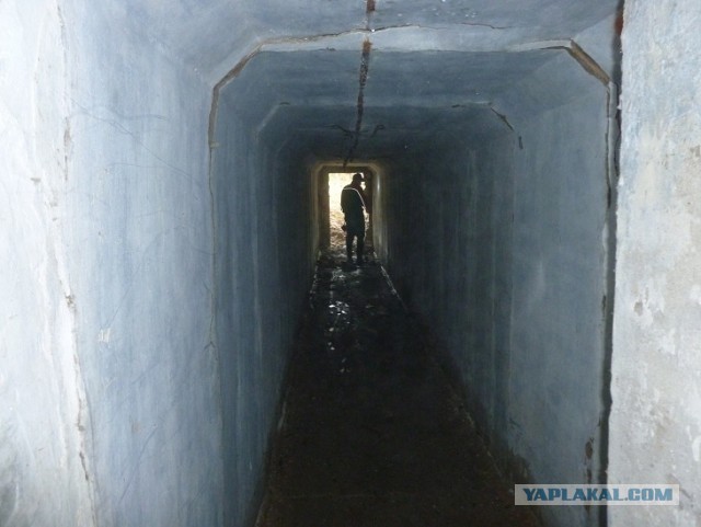 Осколки страны