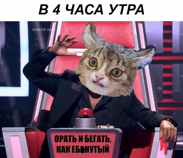 ПоСРЕДственная подборка