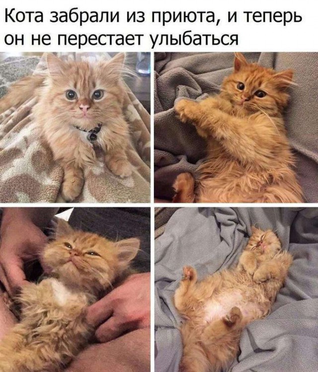 От работы оторвись и к картинкам присмотрись!