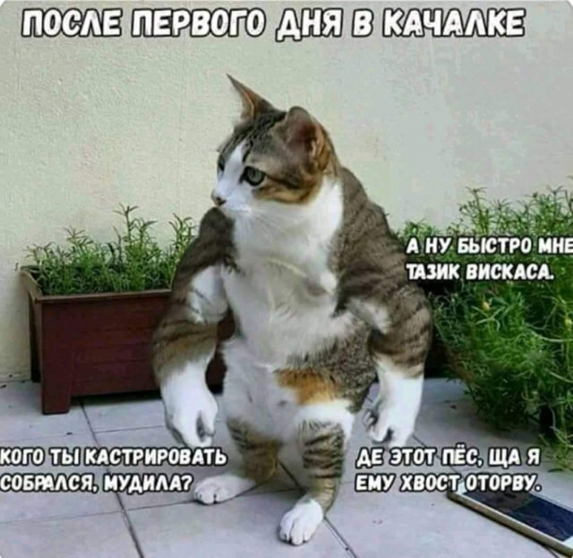 Вечер пятницы подкатил, час картинок наступил!